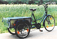 Chinesische Dreir&auml;der <Goldene Antilope>